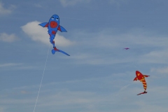 Zappelfisch von OM und Franz in Hütten