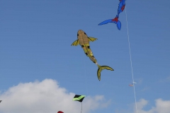 Zappelfisch bei der Vorführung in Hütten, OM, Michael, Franz