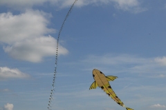 Zappelfisch von Michael in Hütten